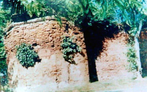 Neglected ruins of the 18' high Citadel wall inside Kangla