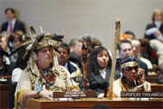 Participants at the seventh session of Forum on Indigenous Issues