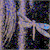Dragonfly Blue Productions Web Cast