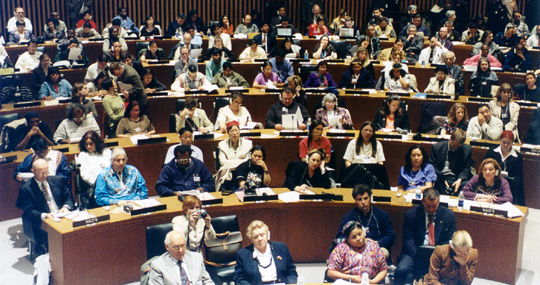 Inaugural Session UN Permanent Forum